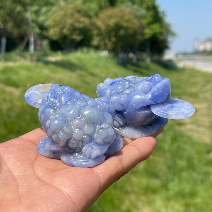 Unique,A Slightly Imperfect Natural Blue And White Sodalite Money Toad Carving