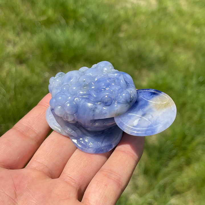 Unique,A Slightly Imperfect Natural Blue And White Sodalite Money Toad Carving