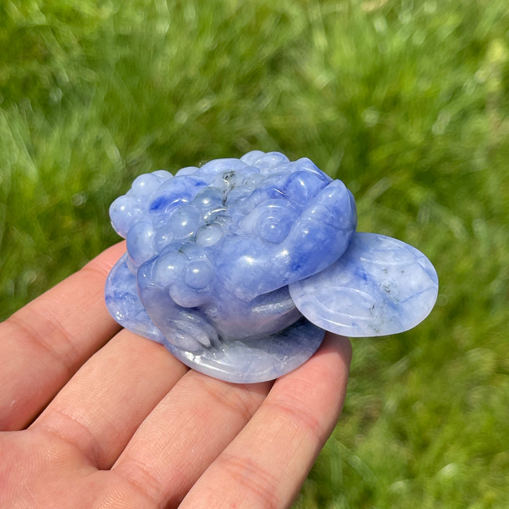 Unique,A Slightly Imperfect Natural Blue And White Sodalite Money Toad Carving