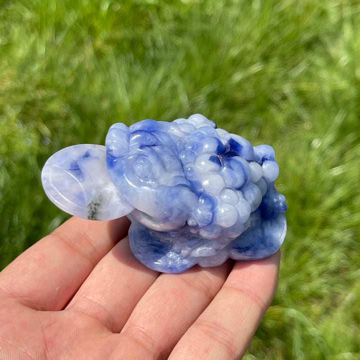 Unique,A Slightly Imperfect Natural Blue And White Sodalite Money Toad Carving