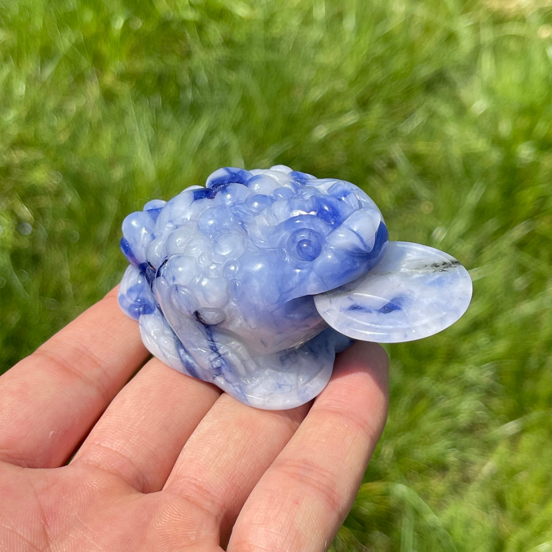 Unique,A Slightly Imperfect Natural Blue And White Sodalite Money Toad Carving