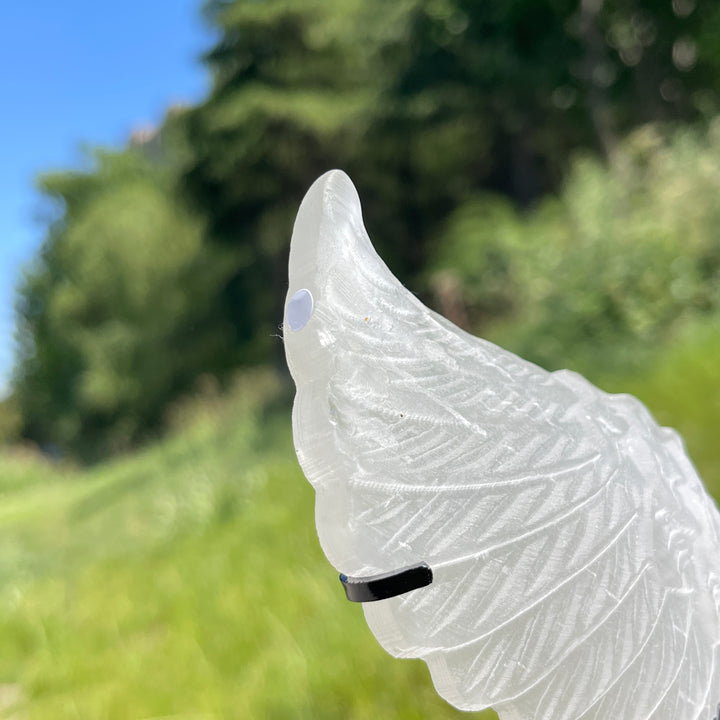Unique,A Slightly Imperfect Natural Crystal Selenite Angel Wings Carving
