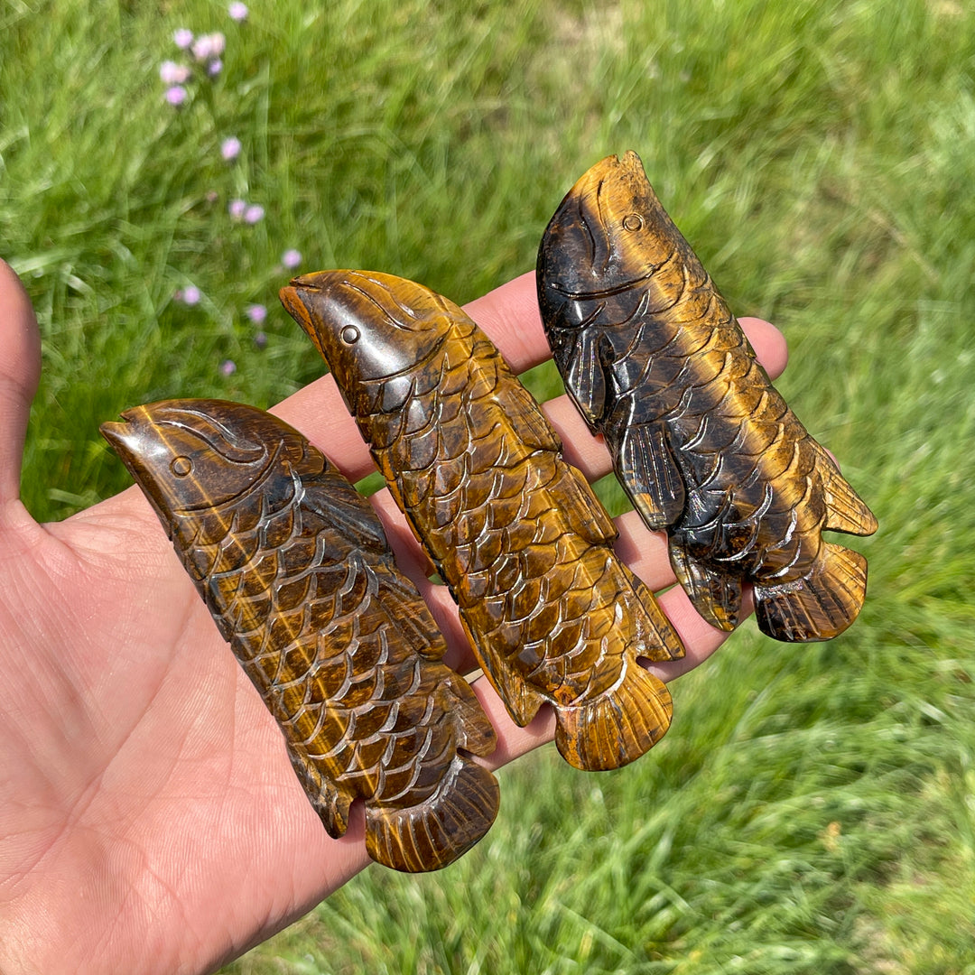 Natural Tiger Eye Arowana Carving