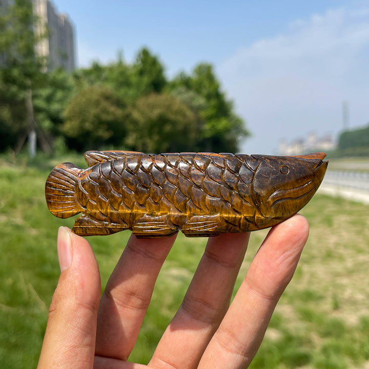 Natural Tiger Eye Arowana Carving