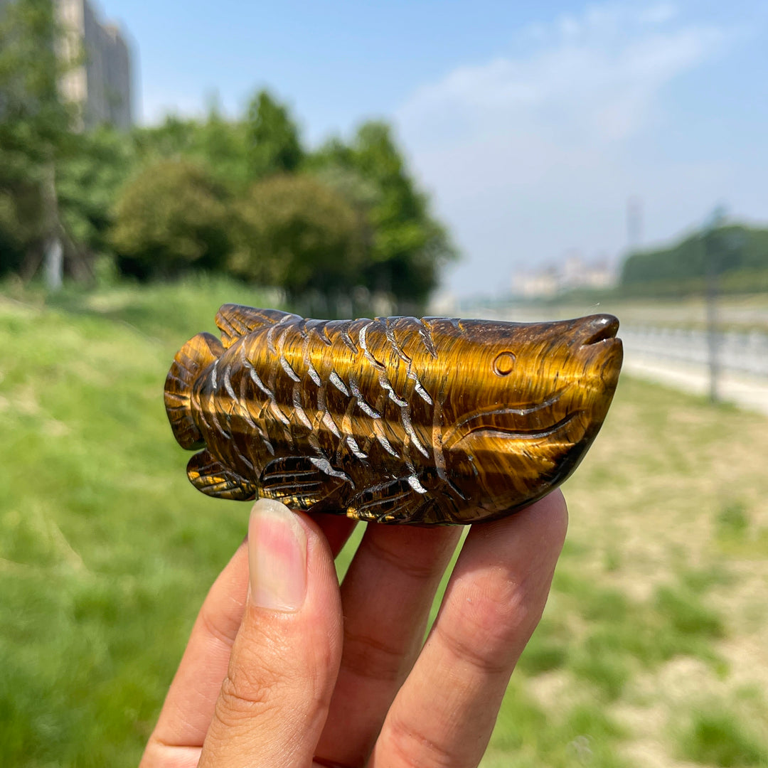 Natural Tiger Eye Arowana Carving