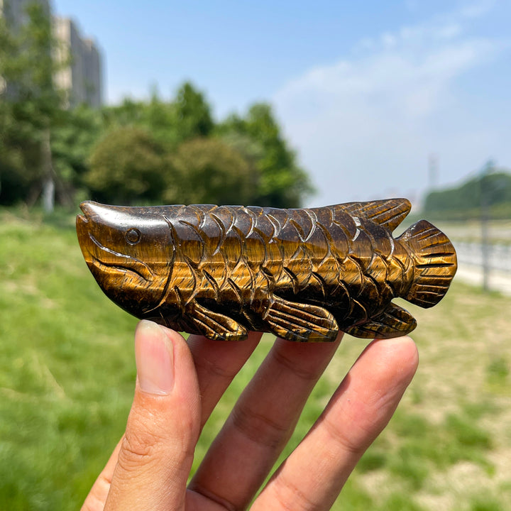 Natural Tiger Eye Arowana Carving