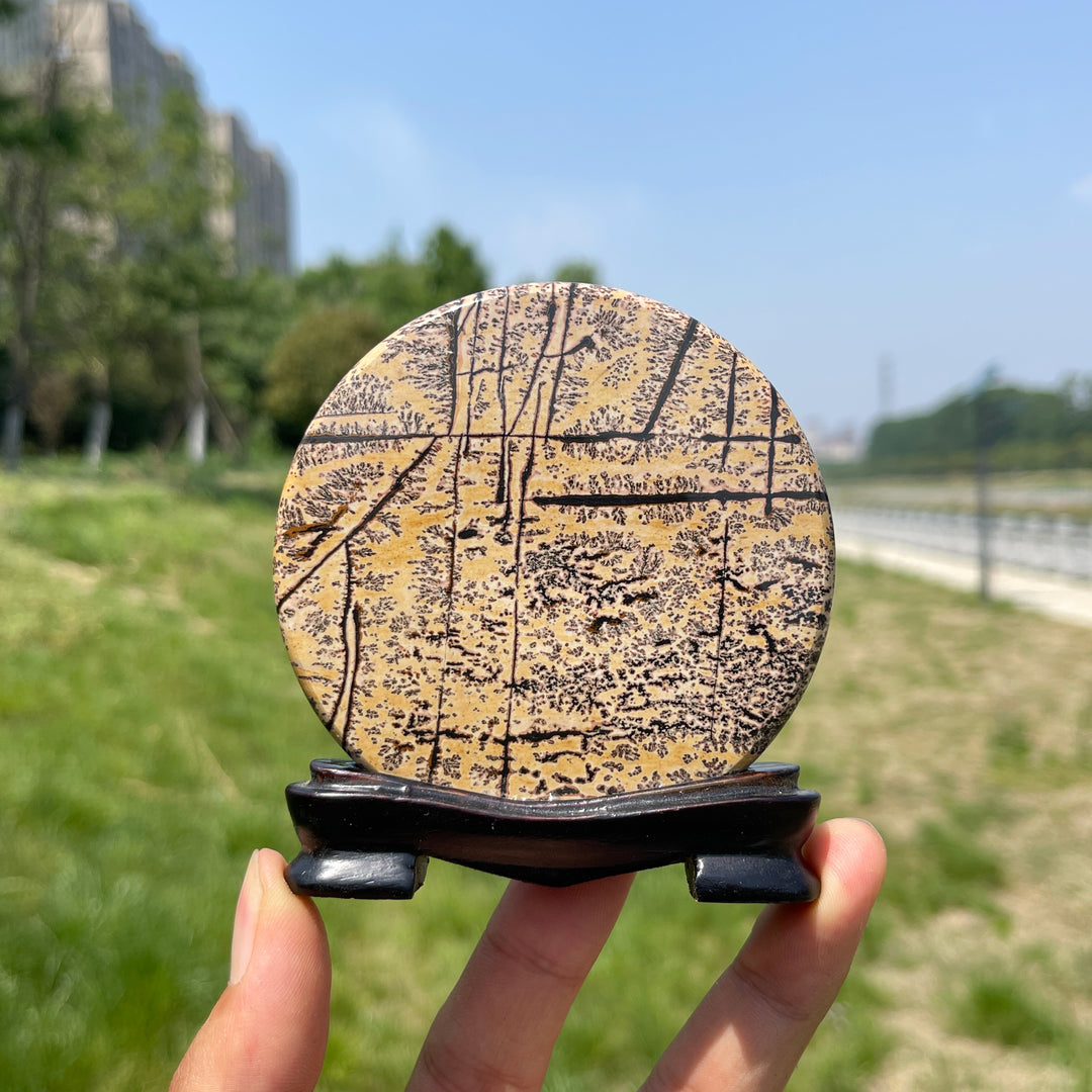 Natural Picture Jasper Crystal Ornament