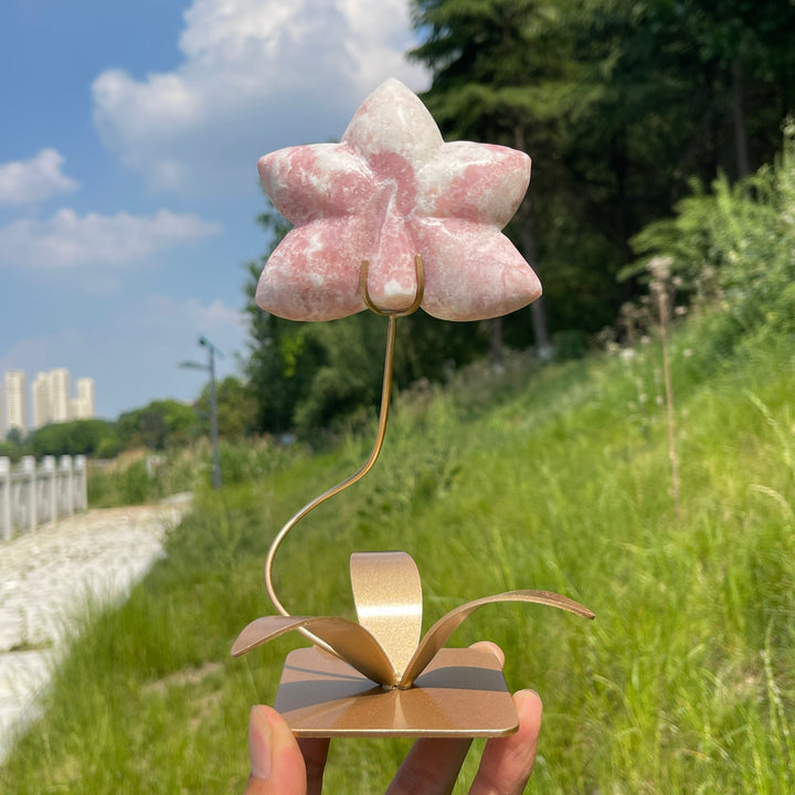 Unique,Natural Crystal Orchid Carving