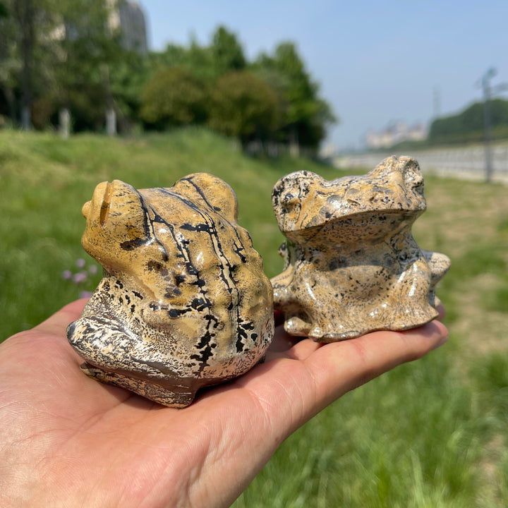 Natural Picture Jasper Big-Eyed Frog Carving