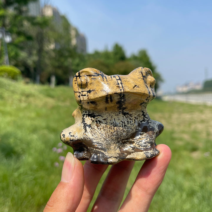 Natural Picture Jasper Big-Eyed Frog Carving