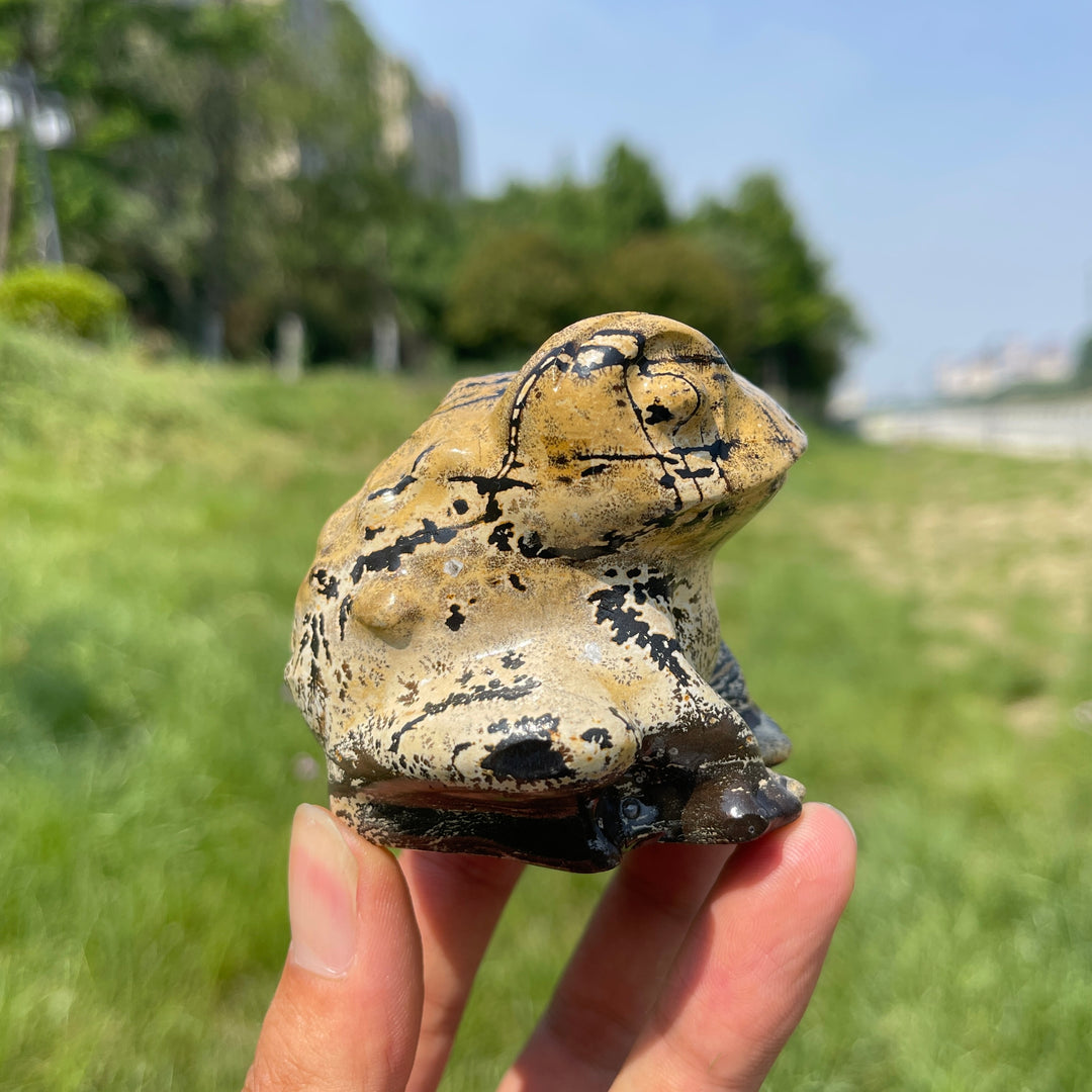 Natural Picture Jasper Big-Eyed Frog Carving