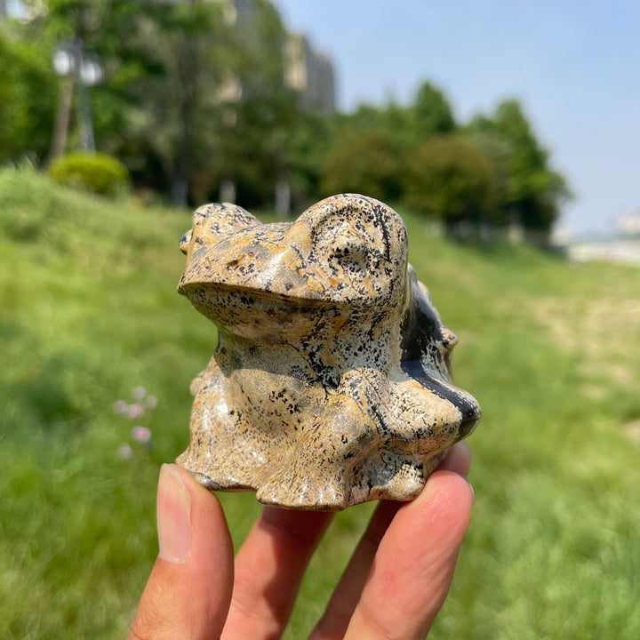 Natural Picture Jasper Big-Eyed Frog Carving