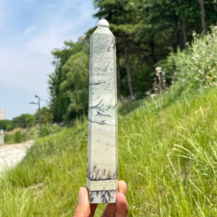 Unique,A Slightly Imperfect Natural Green Dendritic Calcite Point