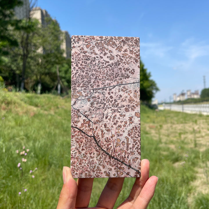 Natural Artistic Picture Jasper Slice
