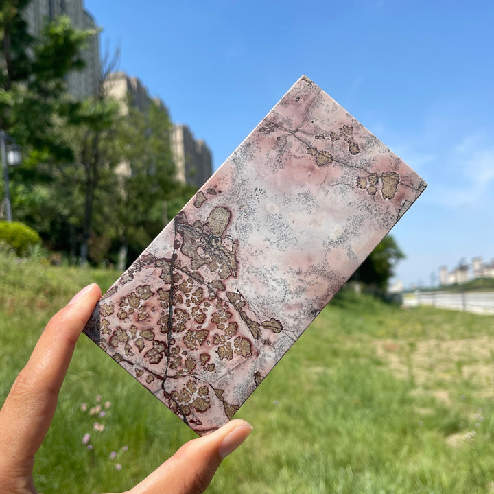 Natural Artistic Picture Jasper Slice