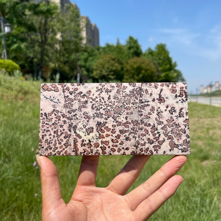 Natural Artistic Picture Jasper Slice