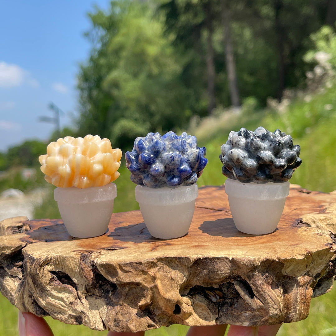 Natural Crystal Succulent Potted Plant