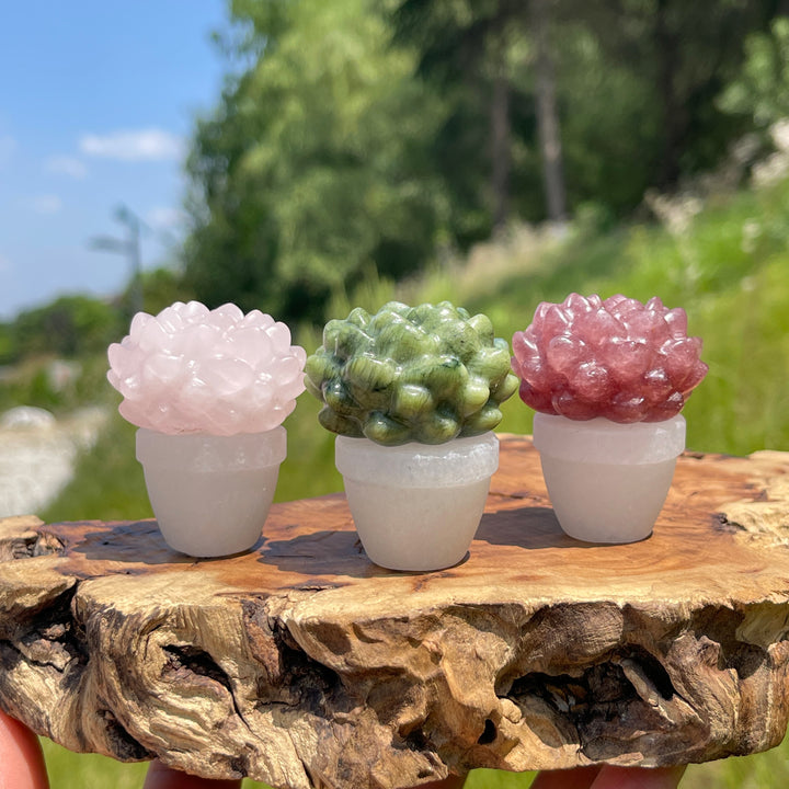Natural Crystal Succulent Potted Plant