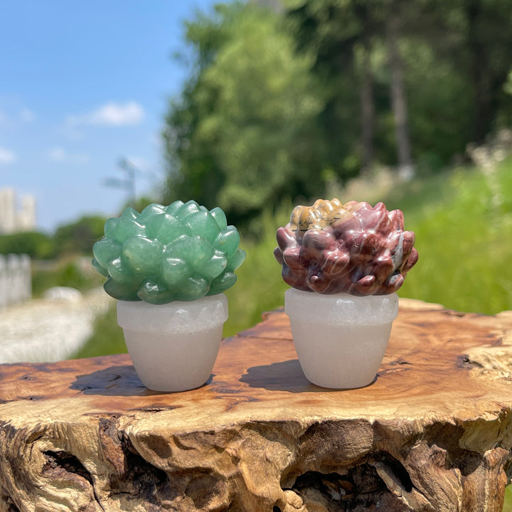 Natural Crystal Succulent Potted Plant