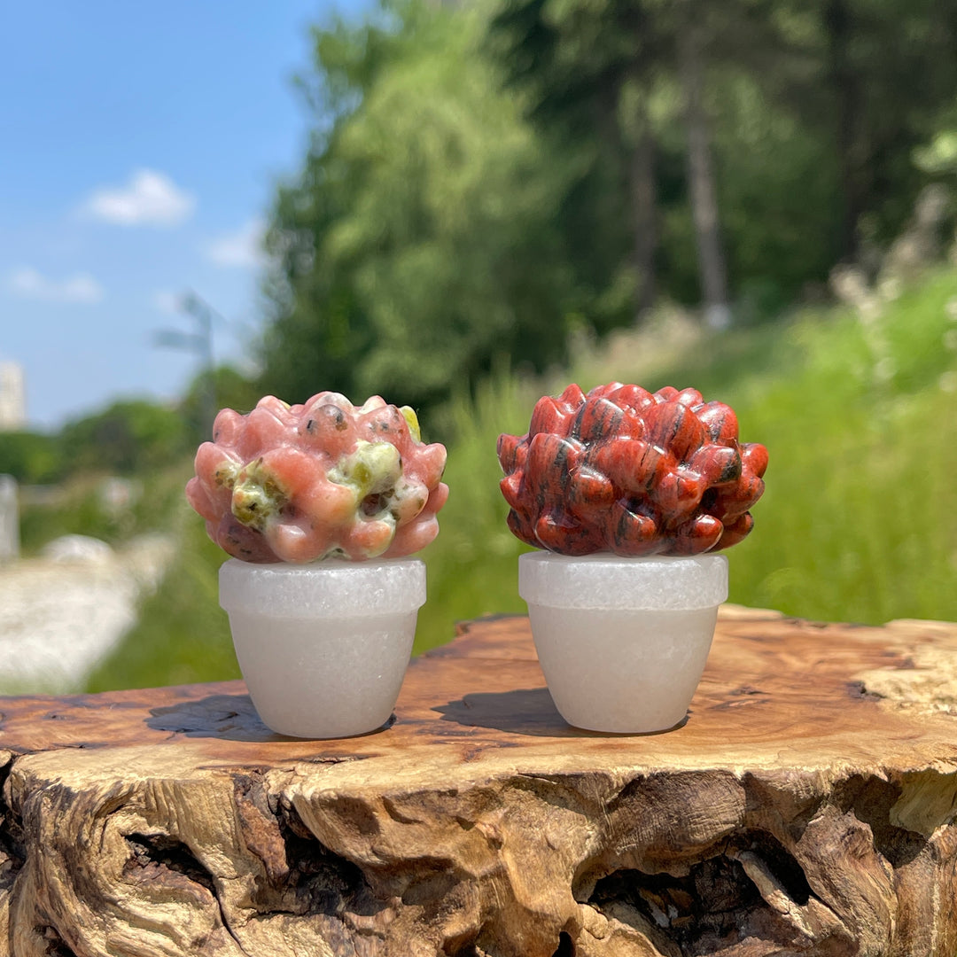 Natural Crystal Succulent Potted Plant