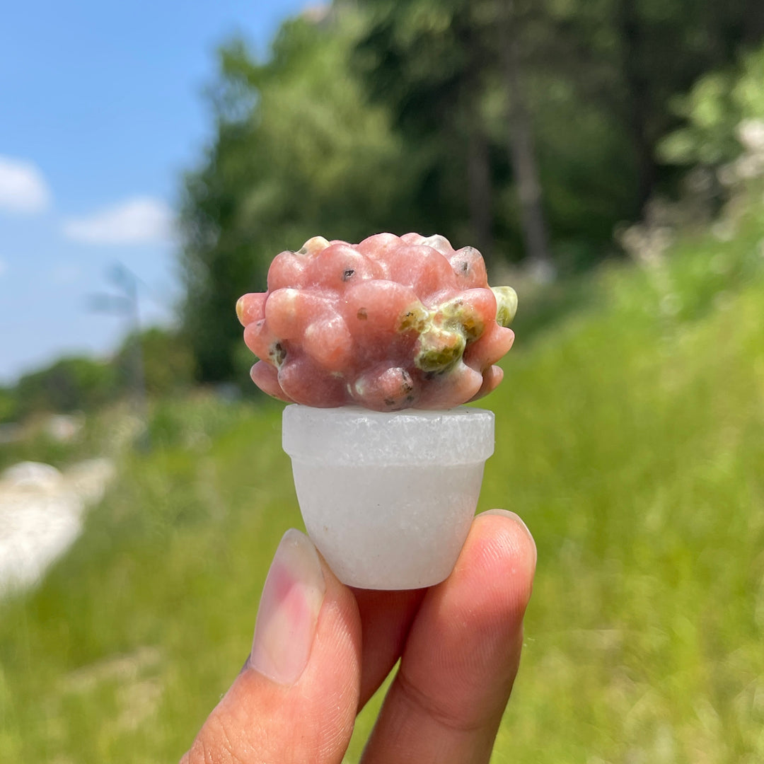 Natural Crystal Succulent Potted Plant