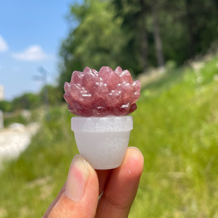 Natural Crystal Succulent Potted Plant
