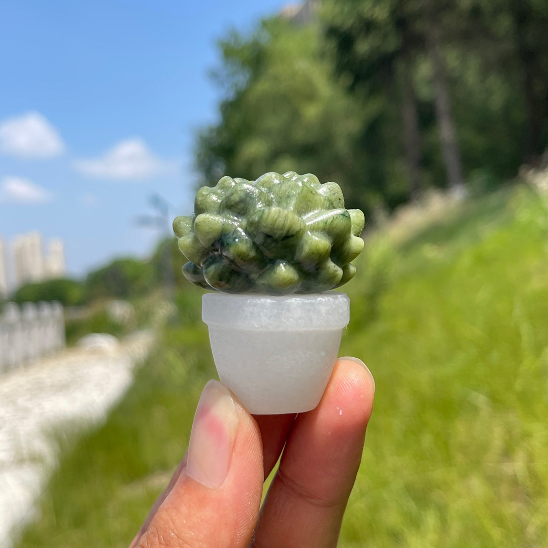 Natural Crystal Succulent Potted Plant