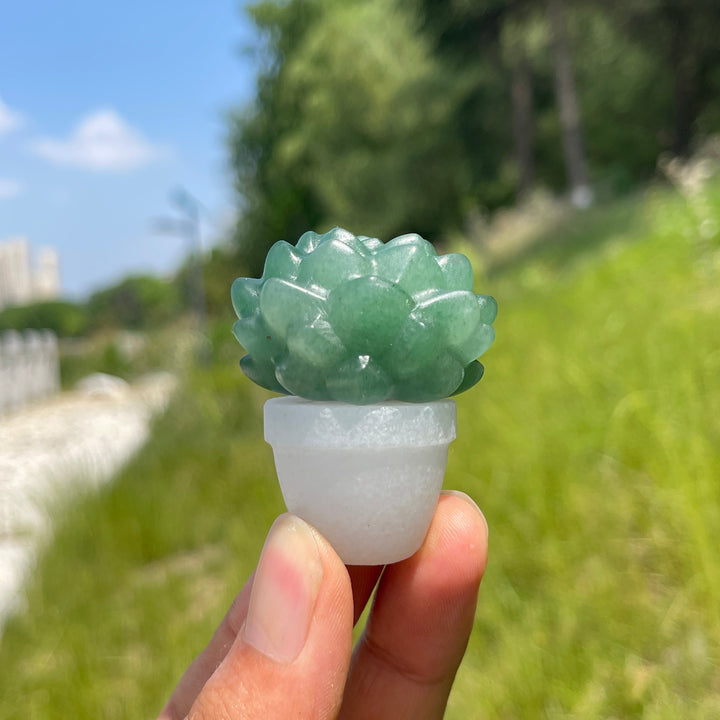 Natural Crystal Succulent Potted Plant