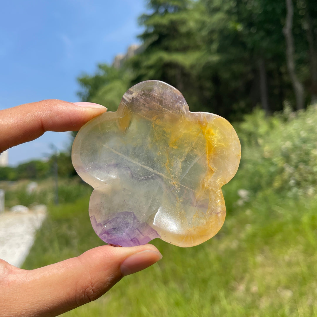 Natural Fluorite Crystal Carving Flower Bowl