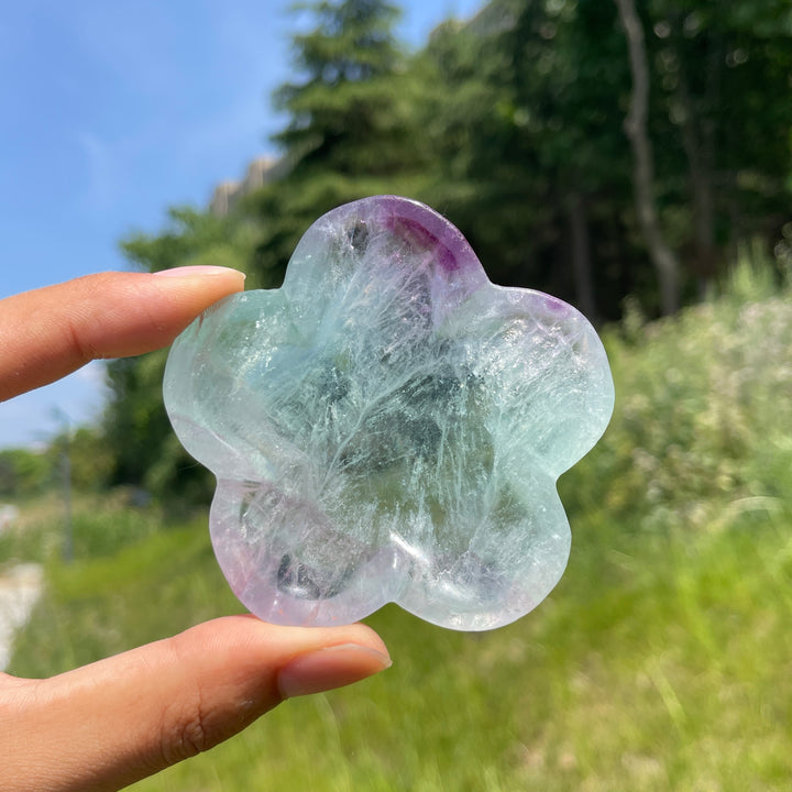 Natural Fluorite Crystal Carving Flower Bowl