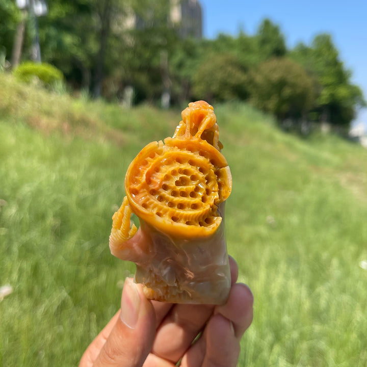 Unique,Natural Larderite Crystal Cicada Carving