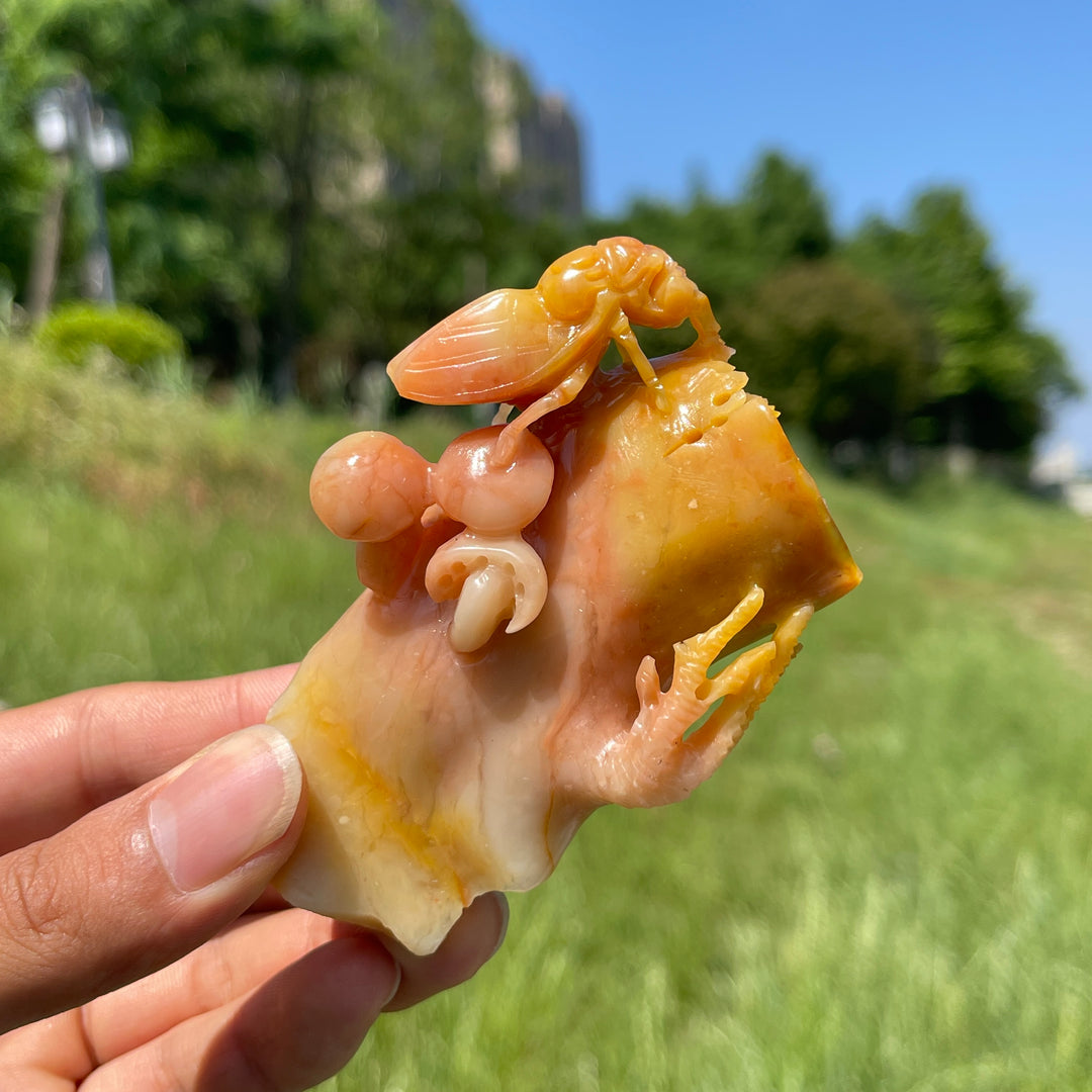 Unique,Natural Larderite Crystal Cicada Carving