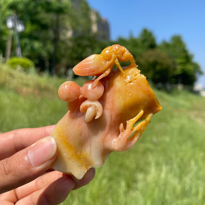 Unique,Natural Larderite Crystal Cicada Carving
