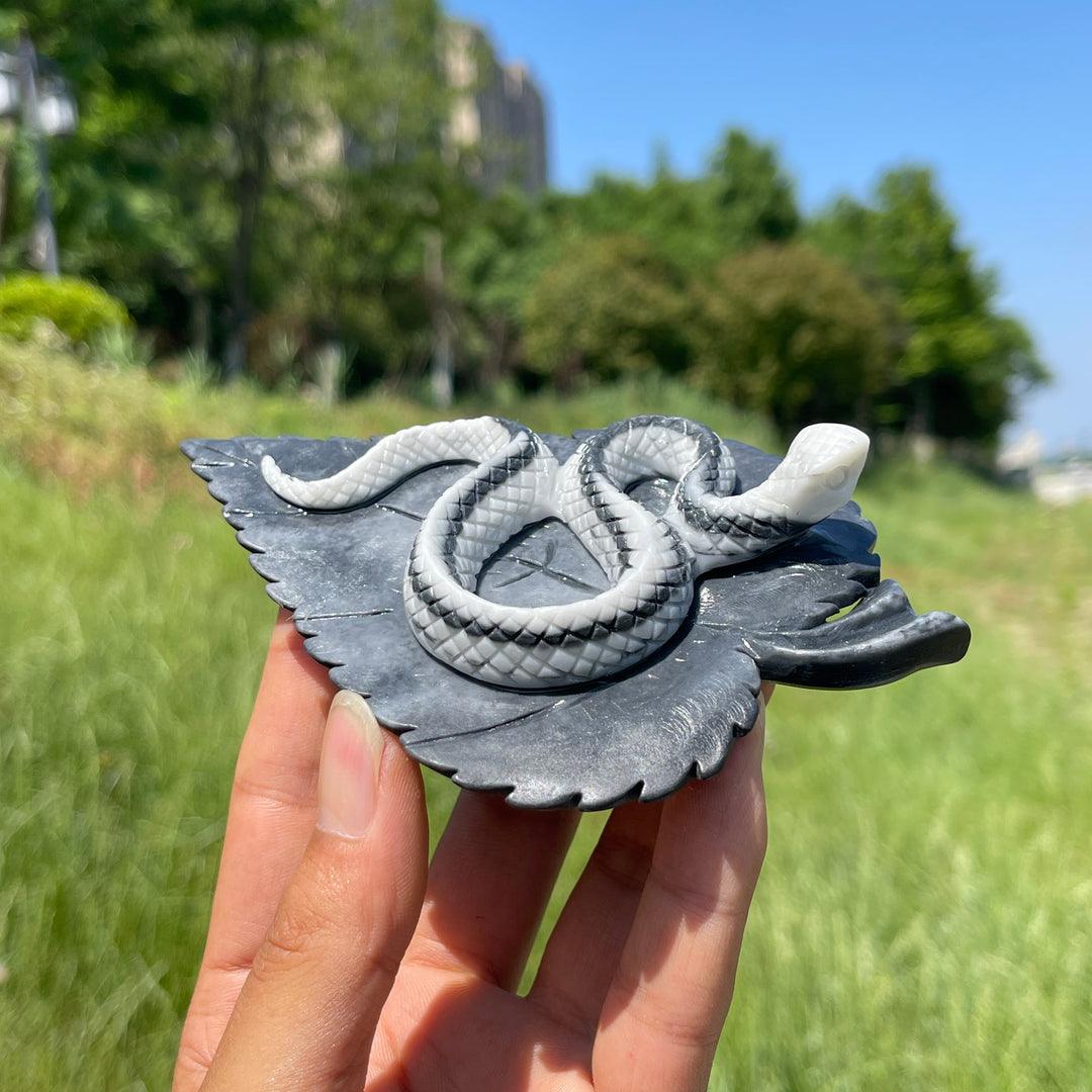 Unique, Natural TaiJi Stone Snake On Leaf Carving