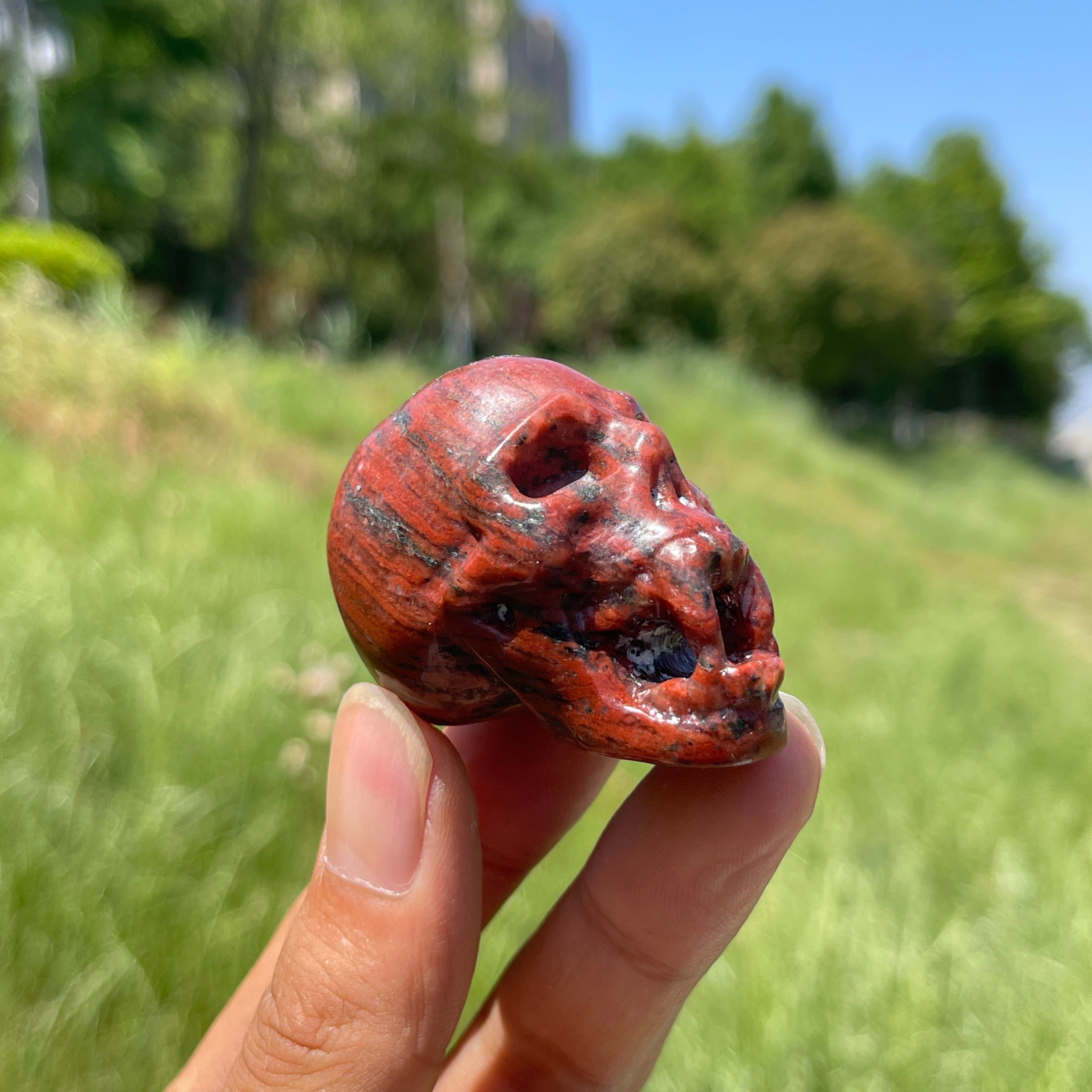 Natural Crystal Vampire Skull Carving – KiKi Crystal