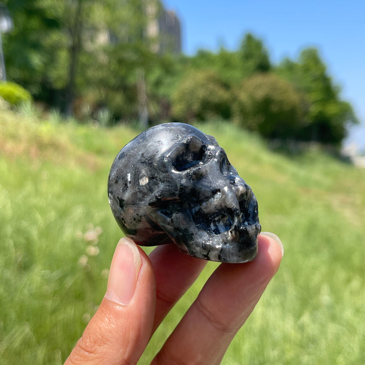 Natural Crystal Vampire Skull Carving