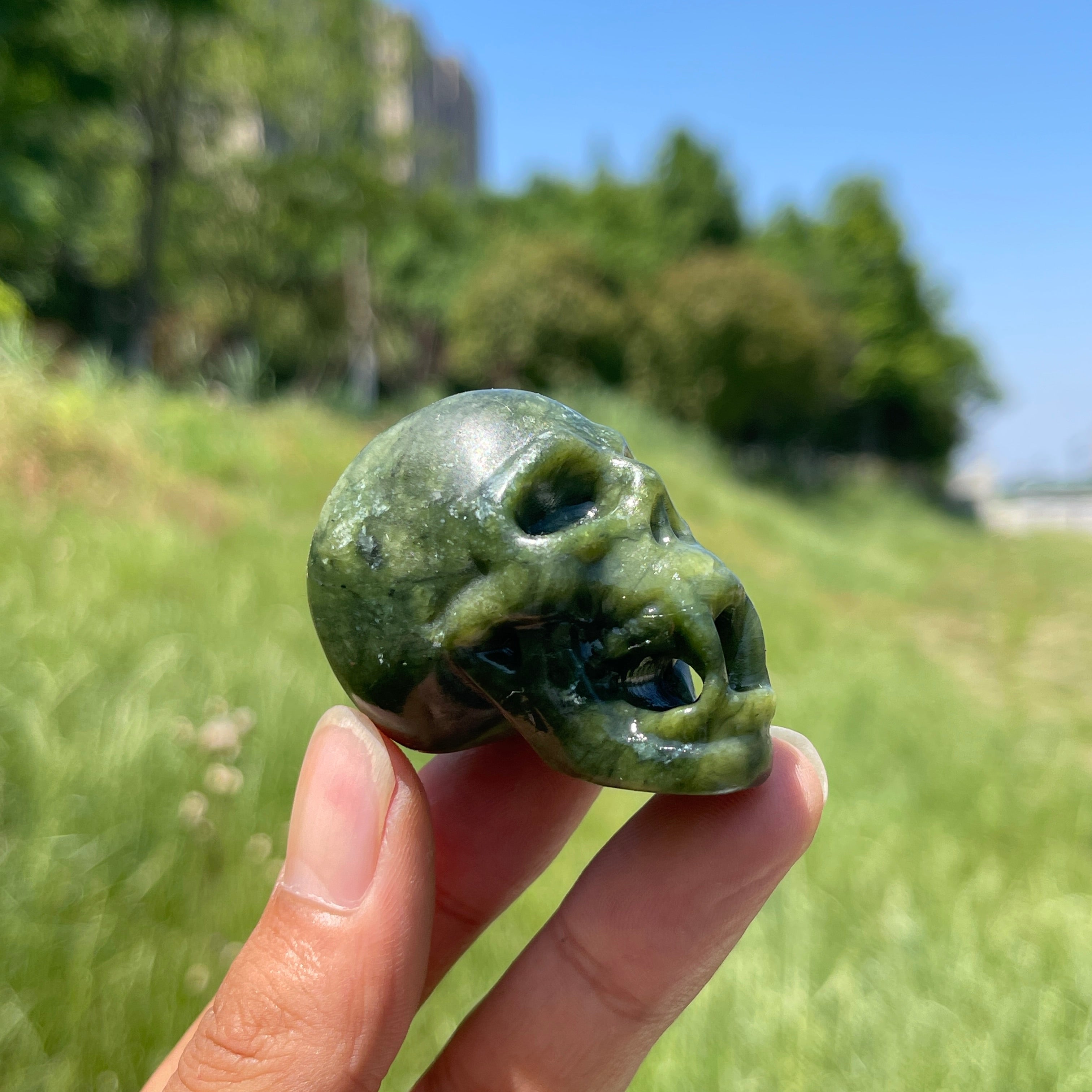 Natural Crystal Vampire Skull Carving – KiKi Crystal