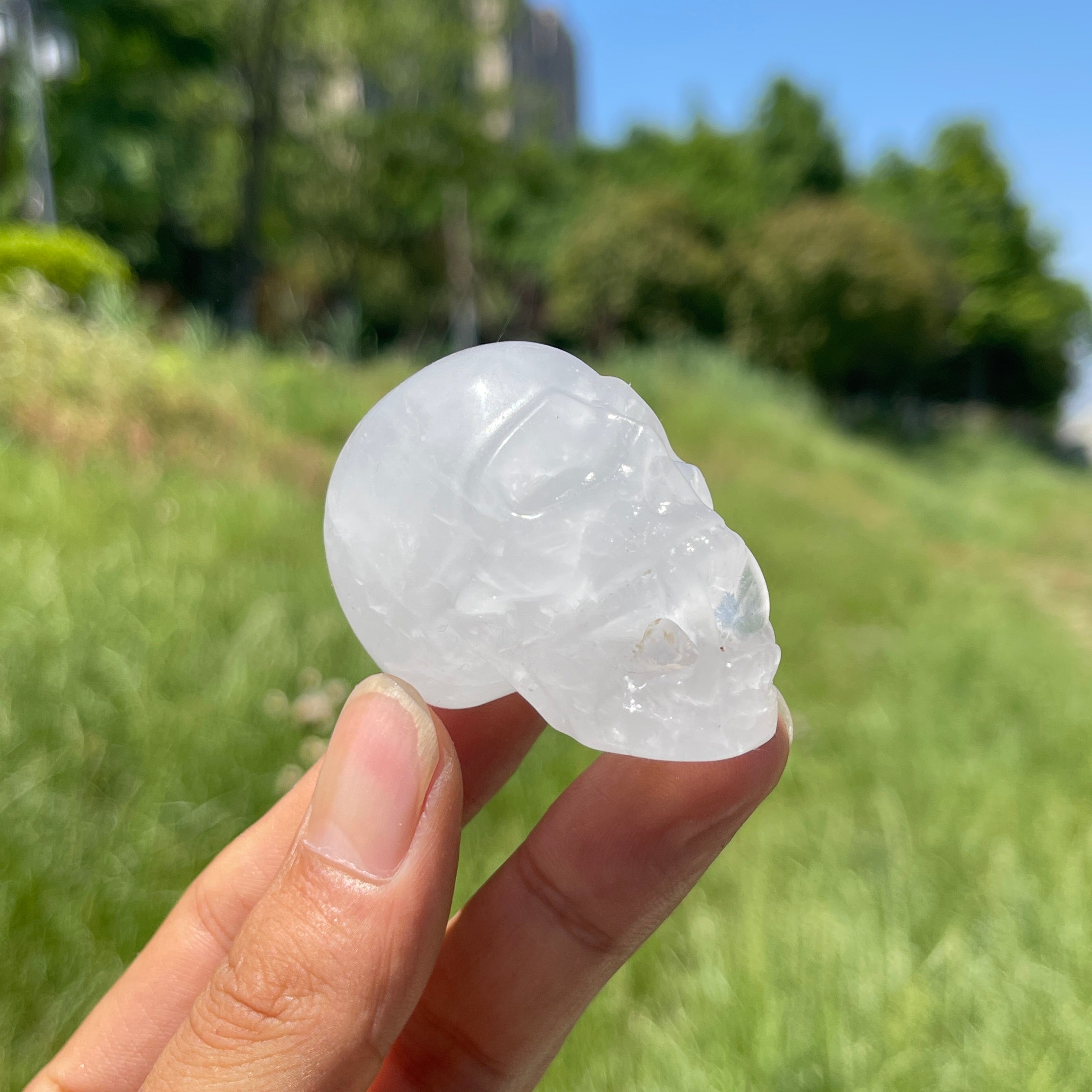 Natural Crystal Vampire Skull Carving – KiKi Crystal
