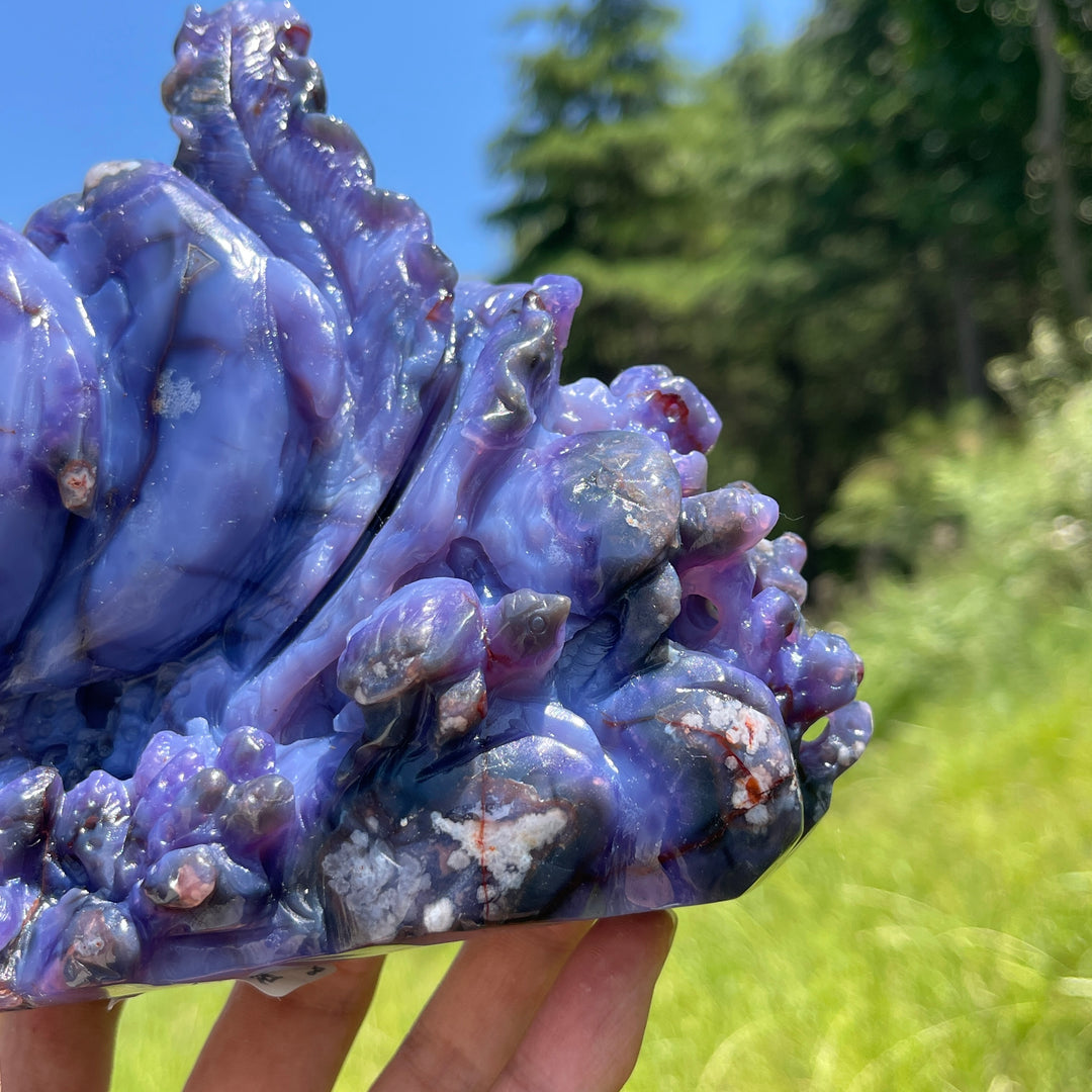 Unique,Natural Whimsical Blue Flower Agate Underwater World Carving