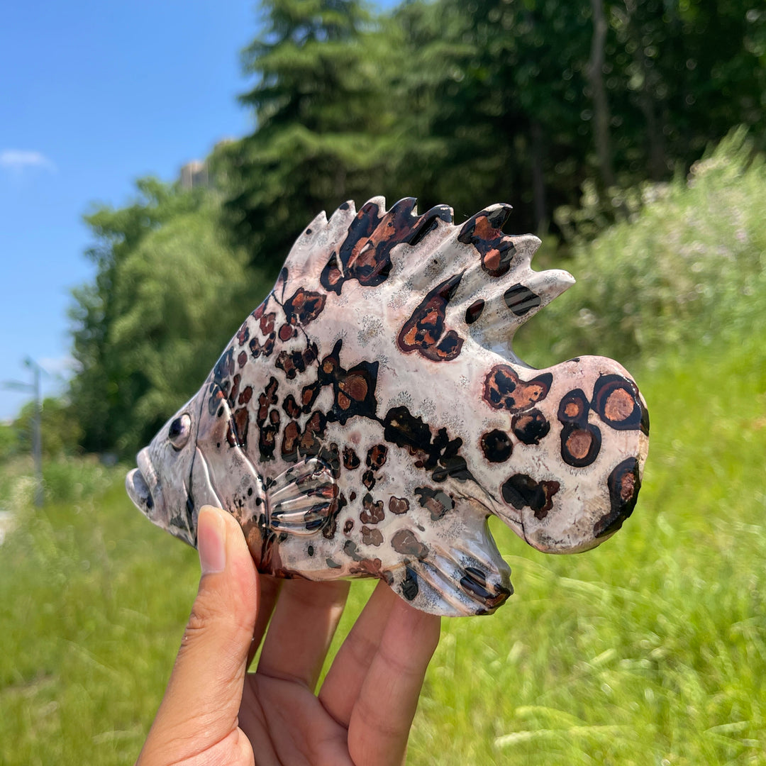 Unique,Natural Crystal Cute Picture Jasper Fish Carving