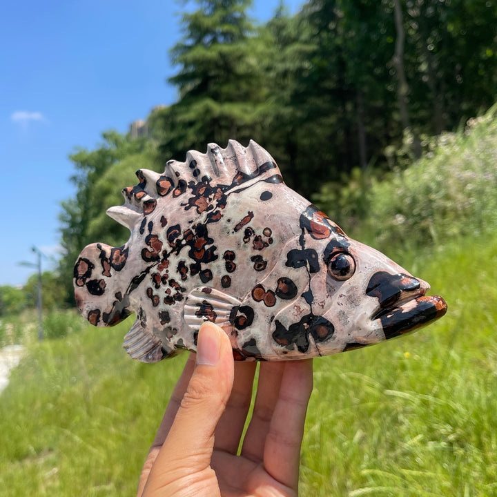 Unique,Natural Crystal Cute Picture Jasper Fish Carving
