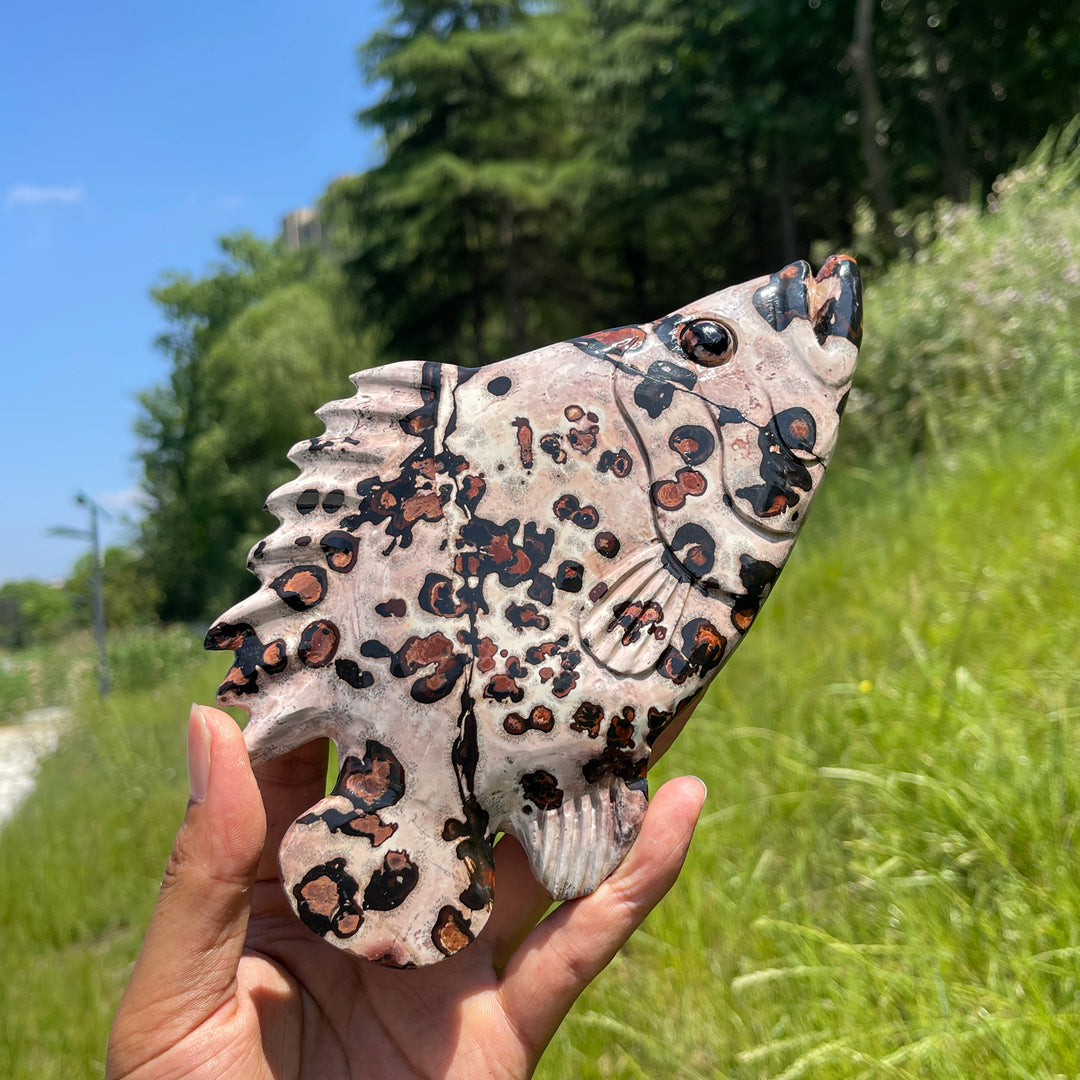 Unique,Natural Crystal Cute Picture Jasper Fish Carving