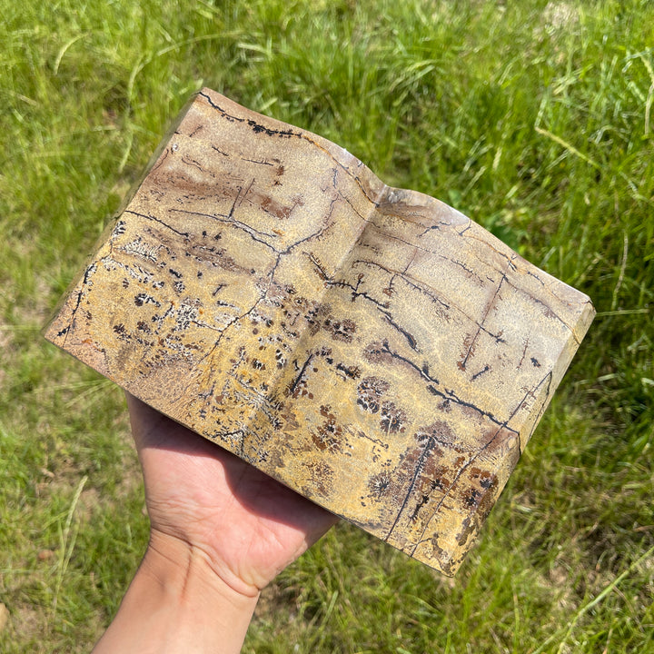 Unique,Natural Crystal Picture Jasper Book Carving
