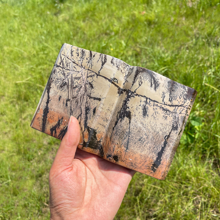 Unique,Natural Crystal Picture Jasper Book Carving