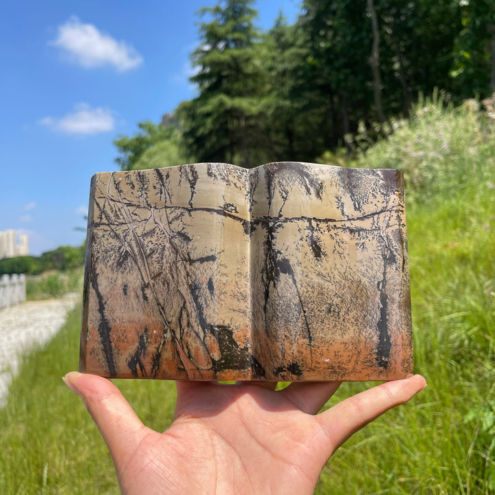 Unique,Natural Crystal Picture Jasper Book Carving