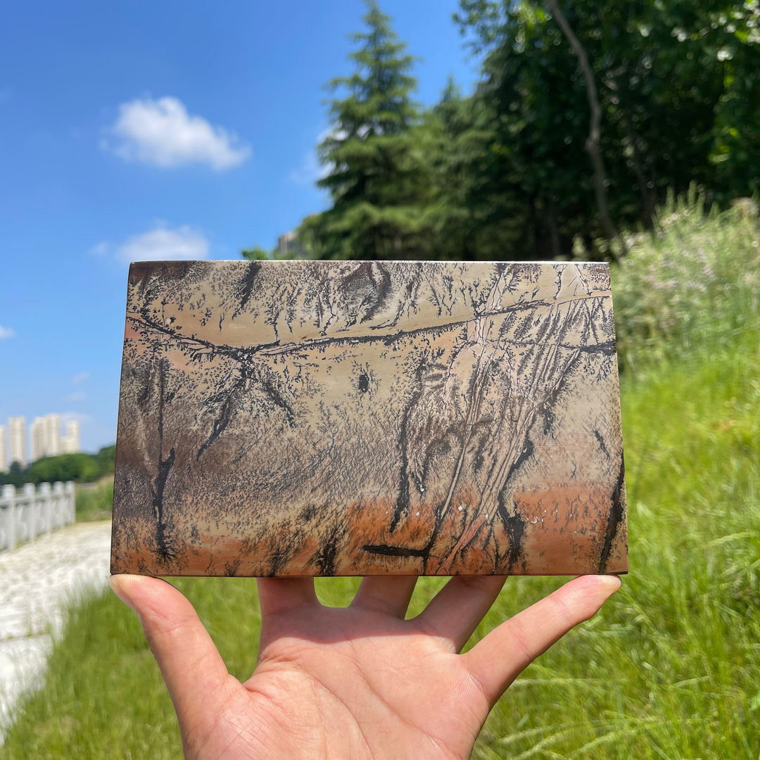 Unique,Natural Crystal Picture Jasper Book Carving