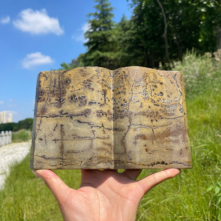 Unique,Natural Crystal Picture Jasper Book Carving