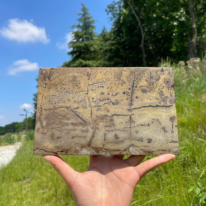 Unique,Natural Crystal Picture Jasper Book Carving