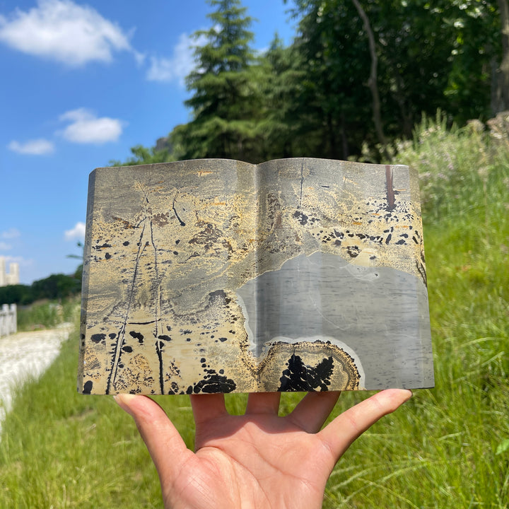 Unique,Natural Crystal Picture Jasper Book Carving