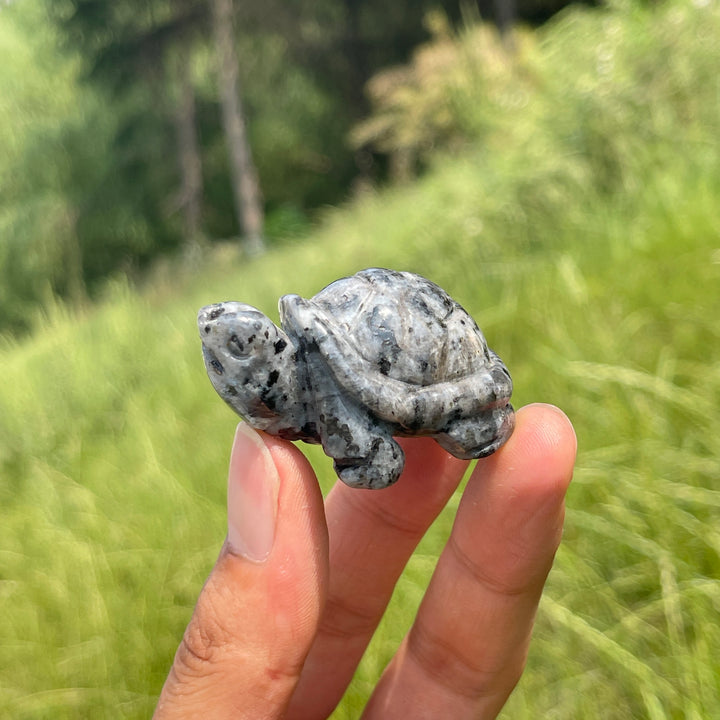 Natural Crystal Carving Turtle